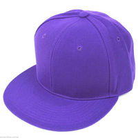 Men's Cap - Purple